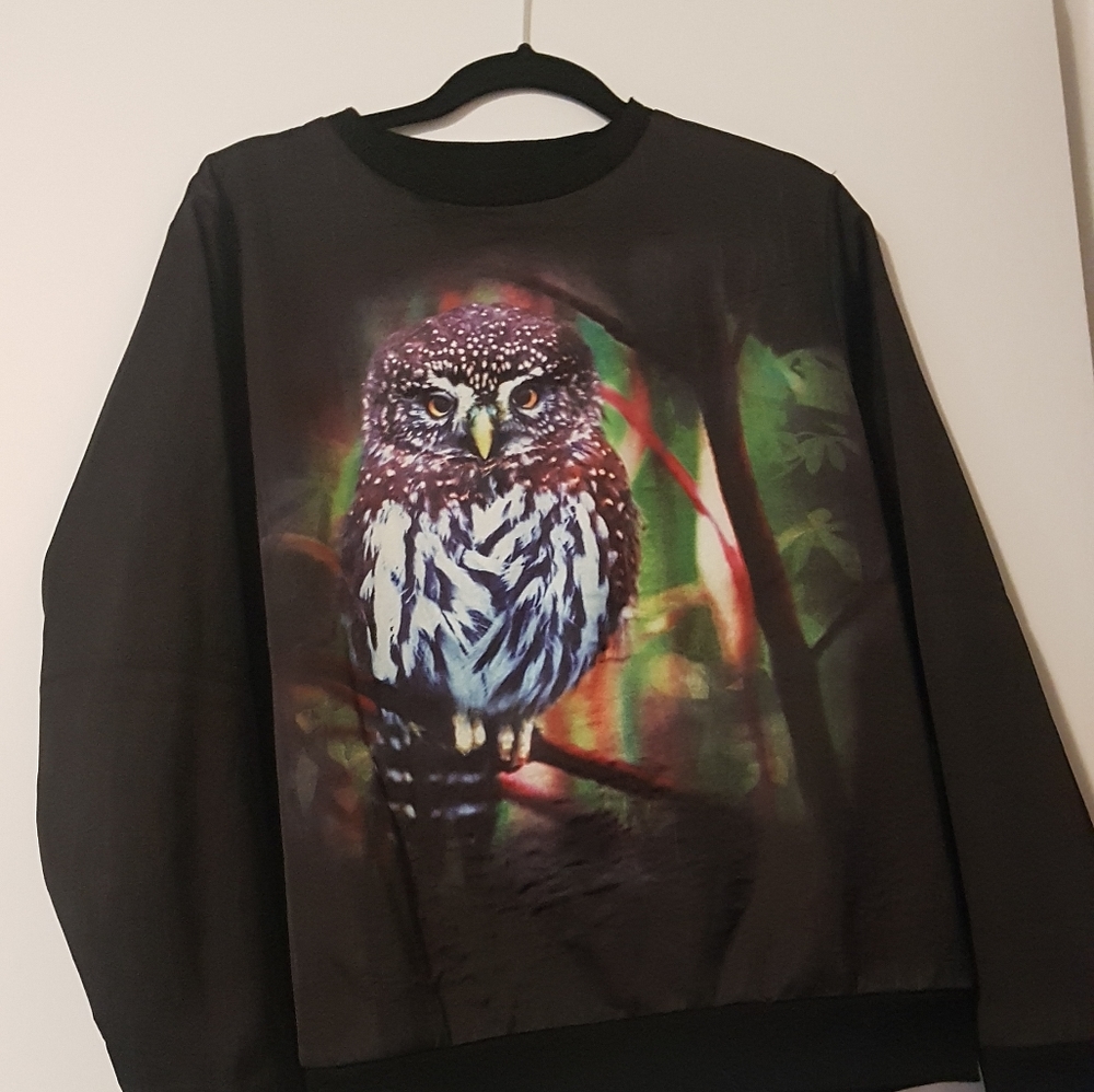 Gorgeous owl sweater